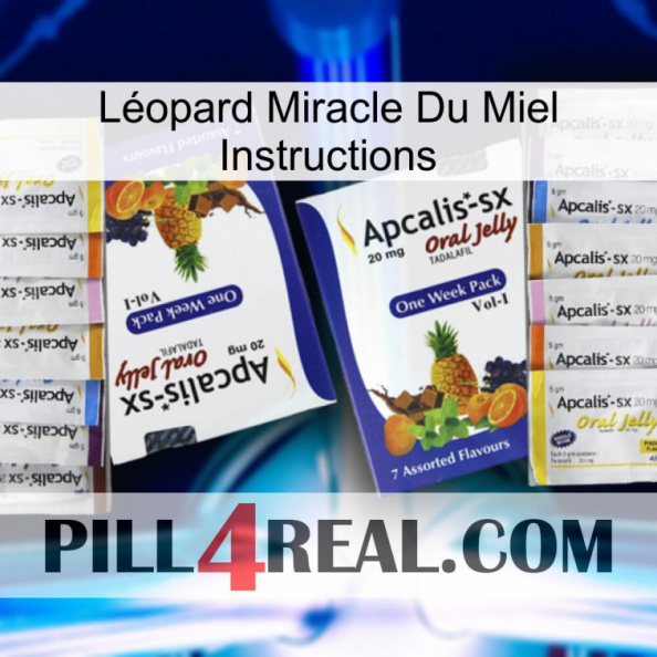 Léopard Miracle Du Miel Instructions 12.jpg